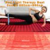 1773739679005-3.jpg KREXBODY Lounge Enclosed Red Light Therapy Pod Essential