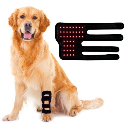 KREXBODY PetCare Red Light Therapy Device for Pet Legs
