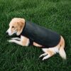KREXBODY PetCare Red Light Therapy Pad for Dogs Plus