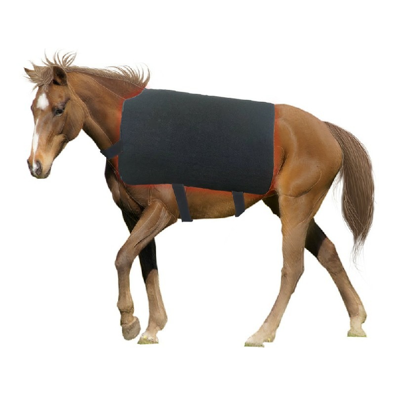 Certification Compliance Document Best Red Light Therapy Device Dogs Pet Mobility 442 lifestyle image for HREXBODY red light therapy shopping, desktop crop.