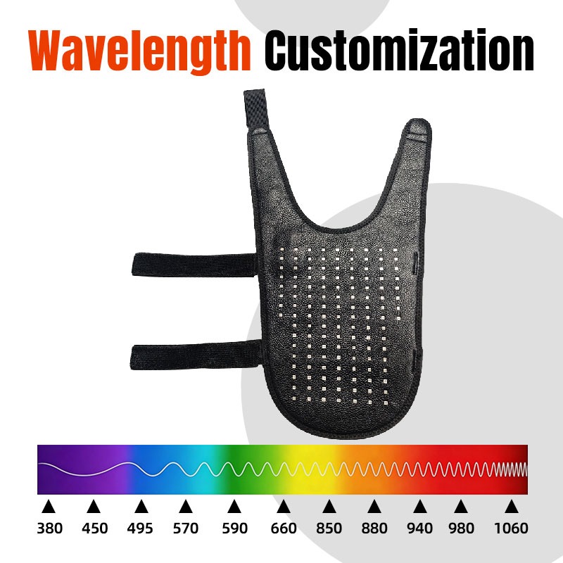 Certification Compliance Document Best Red Light Therapy Device Dogs Pet Mobility 608 lifestyle image for HREXBODY red light therapy shopping, desktop crop.