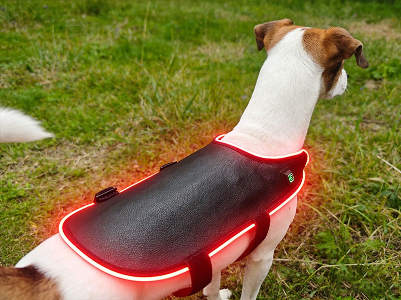 Certification Compliance Document Best Red Light Therapy Device Dogs Pet Mobility 611 lifestyle image for HREXBODY red light therapy shopping, desktop crop.