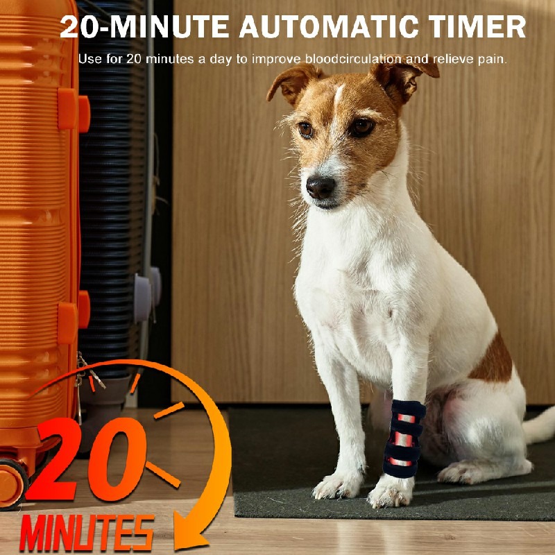 Certification Compliance Document Red Light Therapy Device Pet Leg 412 lifestyle image for HREXBODY red light therapy shopping, desktop crop.