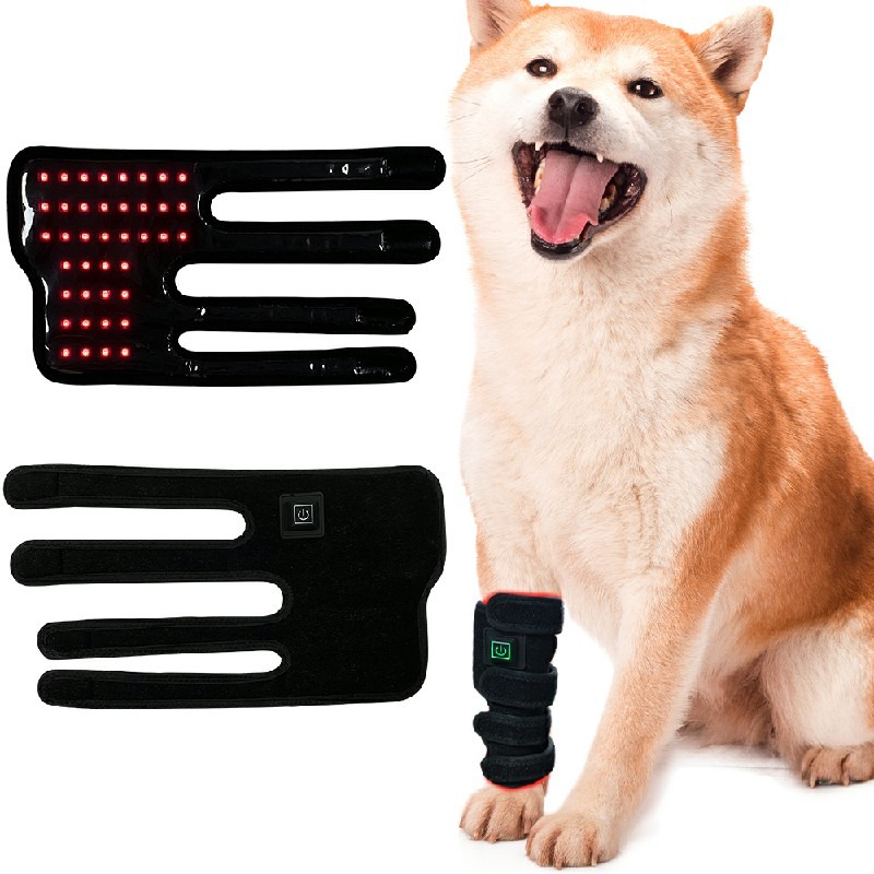 Certification Compliance Document Red Light Therapy Device Pet Leg 417 lifestyle image for HREXBODY red light therapy shopping, desktop crop.